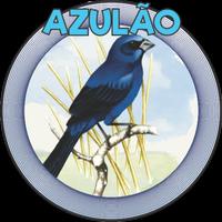 AZULÃO 海報