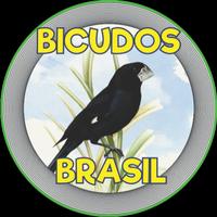 BICUDOS BRASIL 海報