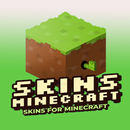 Skin and Map For Minecraft PE APK