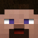 Skin Pack for Minecraft PE APK