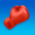 Boxing Rush 3D