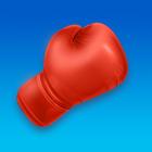 ikon Boxing Rush 3D