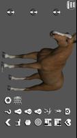 Horse Pose Tool 3D Affiche