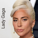 Lady Gaga Concert (Offline Songs) APK