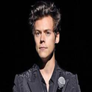 Harry Styles (Offline Songs) APK