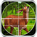 Hunting Forest Animals APK