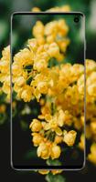 spring flowers wallpaper - new 4k Poster