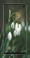 spring flowers wallpaper - new 4k captura de pantalla 1