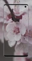 spring flowers wallpaper - new 4k captura de pantalla 3