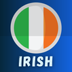 Irish Course For Beginners 图标