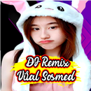 APK Dj Melepas lajang remix