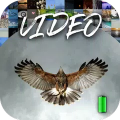 Alive Video Wallpapers XAPK download