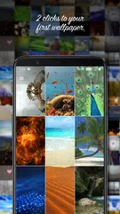 download Sfondo Video 2K XAPK