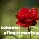 APK whit monday greetings