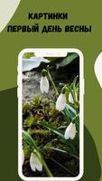 spring pictures imagem de tela 3