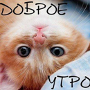 APK картинки с добрым утром