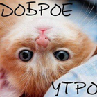 картинки с добрым утром иконка