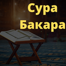 сура аль-бакара текст APK