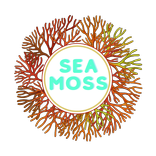 sea moss gel benefits