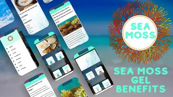 sea moss gel benefits poster
