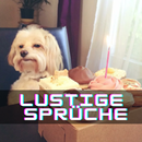 lustige sprüche APK