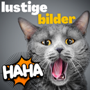 lustige bilder und sprüche APK