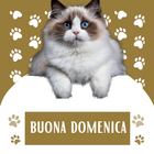 buona domenica gif icon