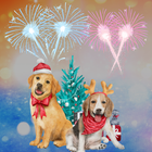 auguri di buon anno 2024 آئیکن