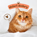 kartki na dzień dobry APK