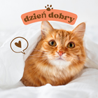 kartki na dzień dobry Zeichen