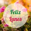 happy monday start of the week