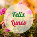 happy monday start of the week APK