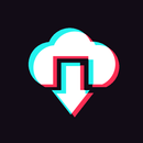 TikTok Video Downloader APK