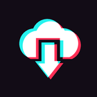 TikTok Video Downloader icono