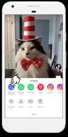 TikTok Video Downloader captura de pantalla 1