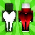 Wings Skin for Minecraft