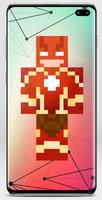 Flash Skin capture d'écran 1