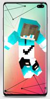 Pvp Skin poster