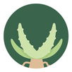 Aloe Bud APK