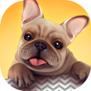 Dog Shelter APK