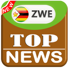 All Zimbabwe Newspaper ikona