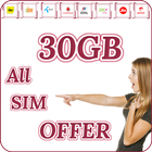 Get 30Gb All Networks Offers icône
