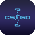 CS:GO Trivia