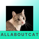 all about cat APK