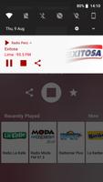 Radio Perú ภาพหน้าจอ 2