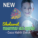 Lagu Sholawat M Hadi Assegaf Offline APK