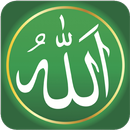 Allah Islamic Wallpaper APK