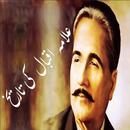 History of Allama Iqbal APK