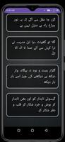 Allama iqbal Poetry تصوير الشاشة 1