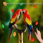 All Birds Wallpapers HD أيقونة